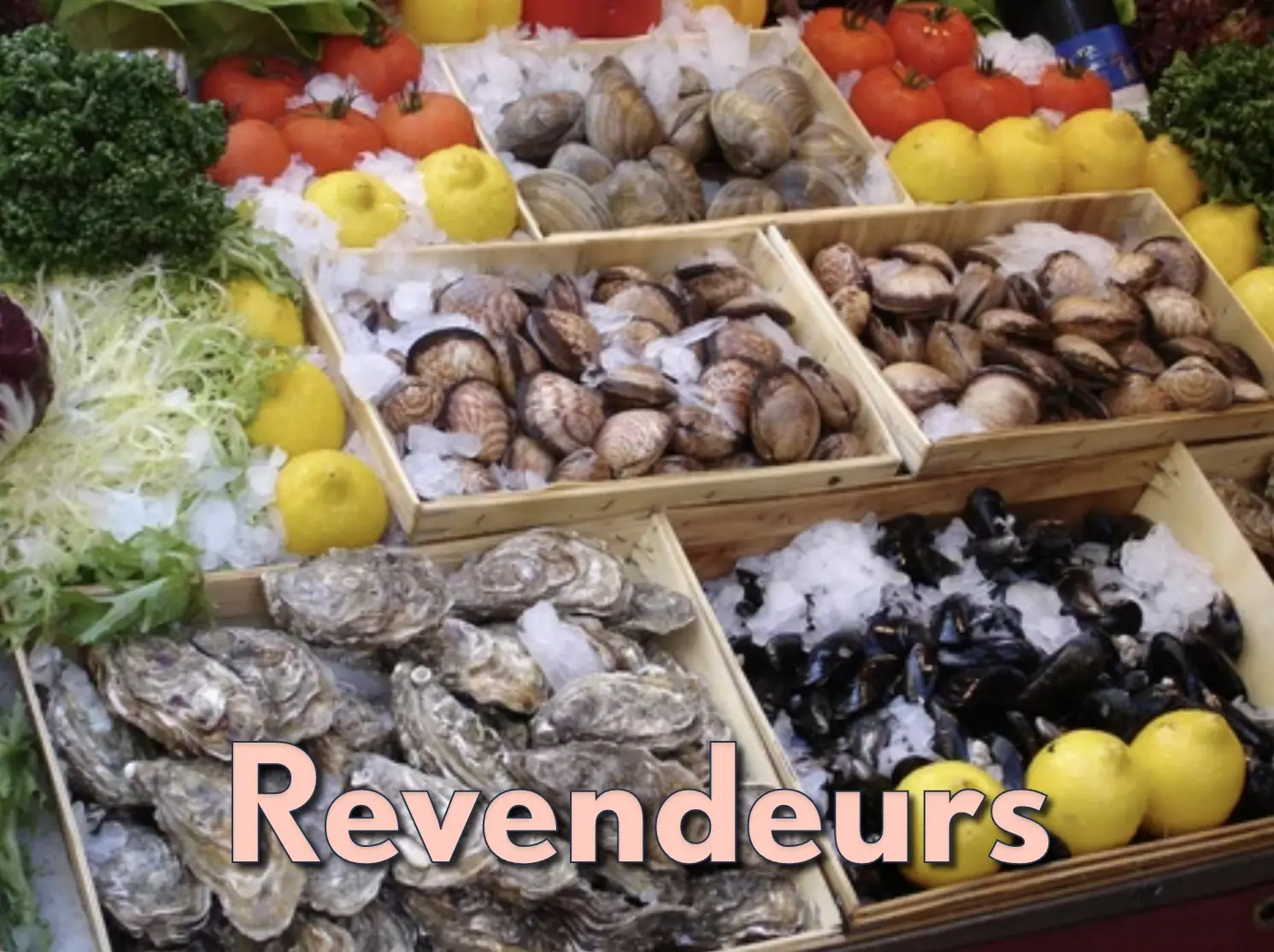 Présentation professionnelle de Glace8 avec son packaging pour la revente.