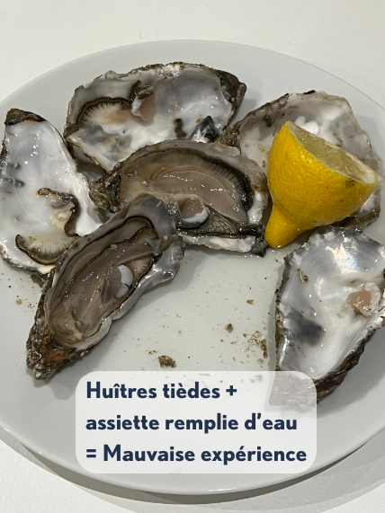 Huîtres dans une assiette dont l’eau s’est renversée