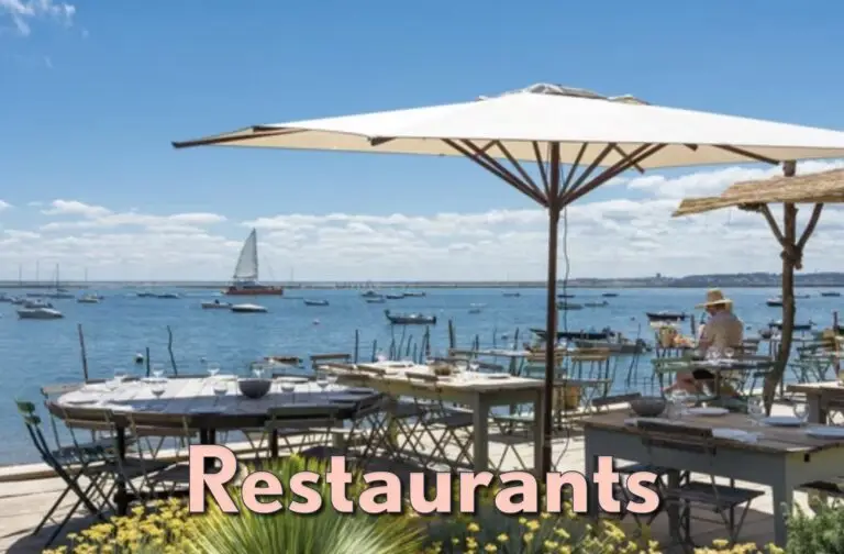 assiette huîtres en terrasse grâce au plateau à huîtres glace8